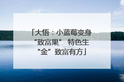 大悟：小蓝莓变身“致富果” 特色生“金”致富有方